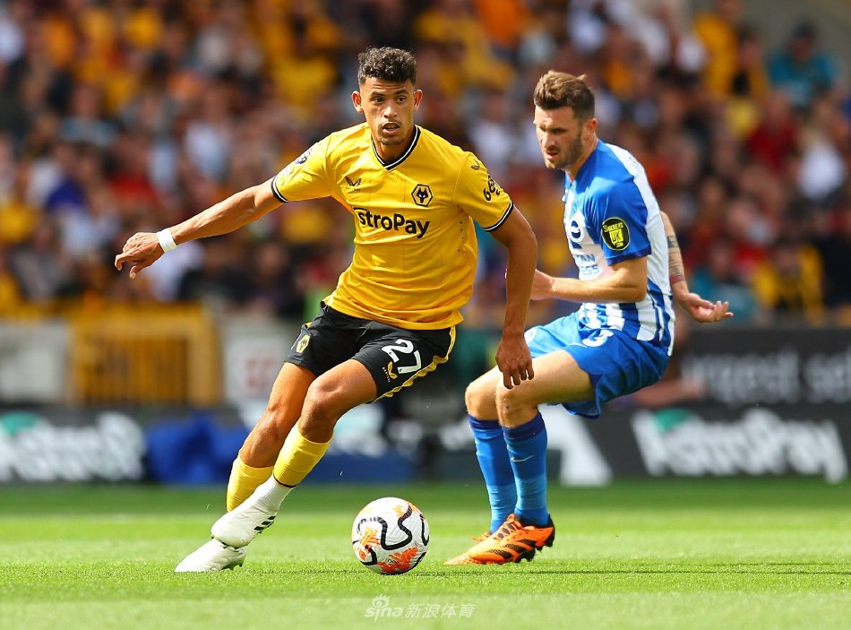 赛季的竞争 赛季的竞争